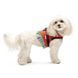 Шлея Monika ТМ Pet Fashion для собак S 1111197866 фото 3