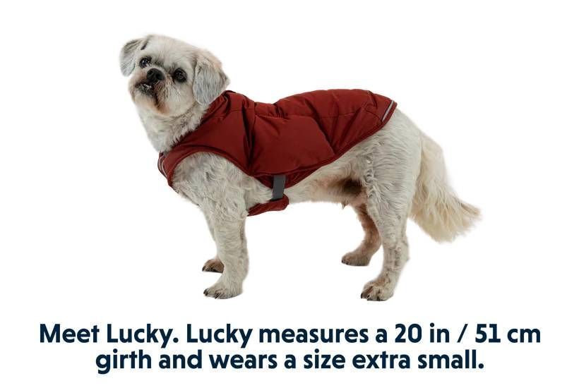 Теплая куртка для собак Ruffwear Quinzee&trade; XL Красный 30478 фото