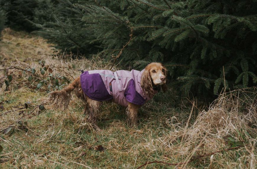 Тепла зимова куртка для собак Glacier jacket 3.0 Non-stop dogwear Фіолетовий 80 41301 фото