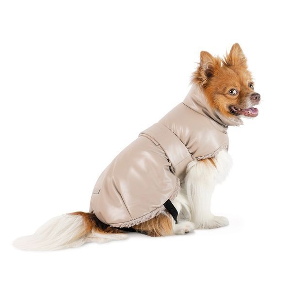 Попона Pet Fashion Mikki для собак бежева М 1111205105 фото