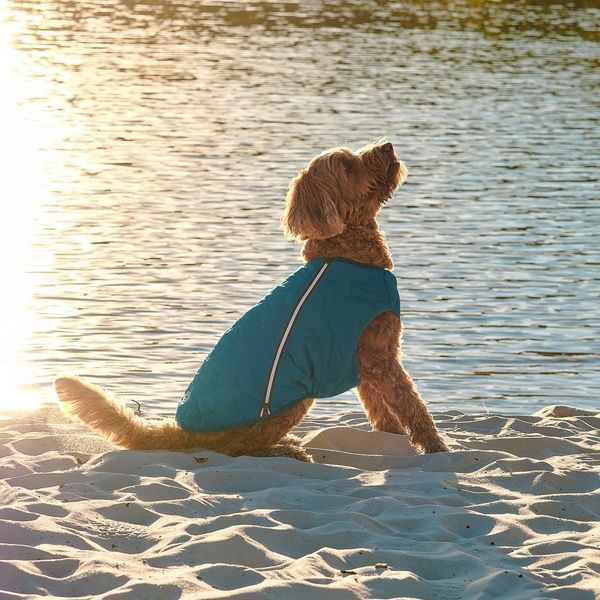 Жилет Pet Fashion E.Vest для собак морська хвиля S 1111166464 фото