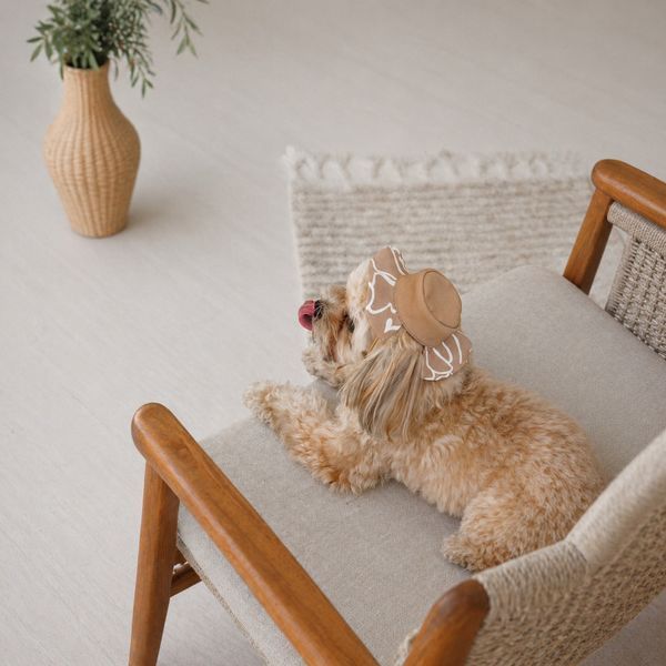Панама Pet Fashion Print для собак XS 1111225467 фото