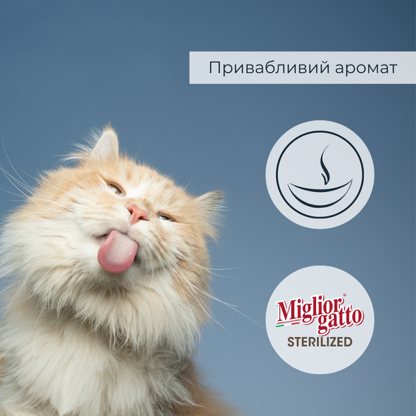 Беззернові консерви для стерилізованих котів Morando Migliorgatto Sterilized ягня з овочами шматочки в соусі 85 g 01472 фото