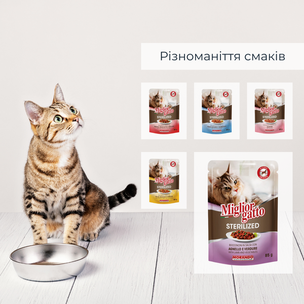 Беззернові консерви для стерилізованих котів Morando Migliorgatto Sterilized ягня з овочами шматочки в соусі 85 g 01472 фото