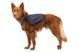 Шлейка-рюкзак для собак Ruffwear Front Range&trade; M Сірий 30979 фото 14