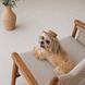 Панама Pet Fashion Print для собак XS 1111225467 фото 6