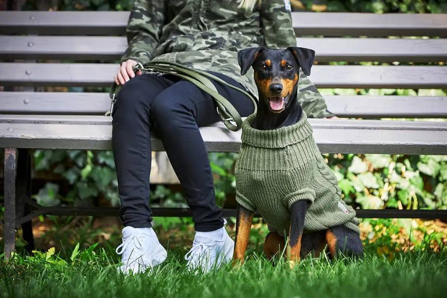 Вязаный свитер для собаки Wolters Cable Knit с узором коса 30 см Оливковый 29599 фото