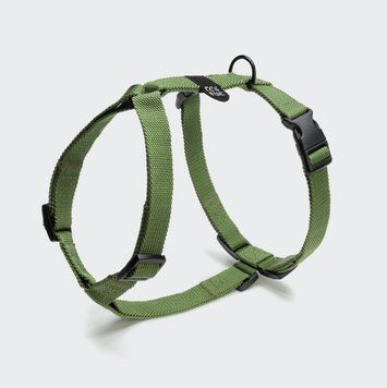 Повсякденна шлейка для собак Cloud7 Rescue Basic Harness Зелений M 46105 фото