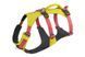 Легкая шлейка для собак Ruffwear Flagline&trade; M 69-81 см Желтый 30759 фото 15
