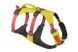 Легкая шлейка для собак Ruffwear Flagline&trade; M 69-81 см Желтый 30759 фото 12