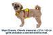 Легкая шлейка для собак Ruffwear Flagline&trade; M 69-81 см Желтый 30759 фото 13