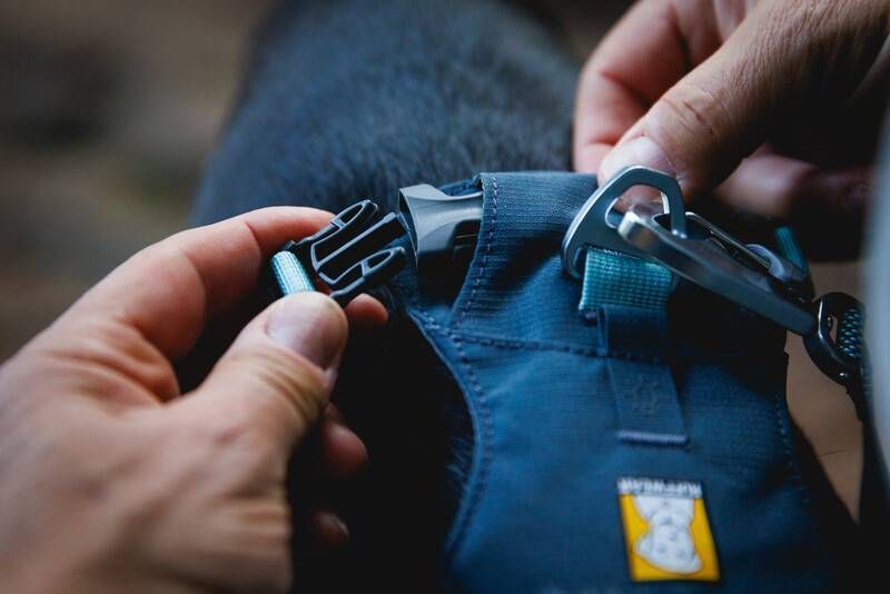 Полегшена шлейка для собак Ruffwear Hi&Light&trade; XS 43-56 см Сірий 30814 фото