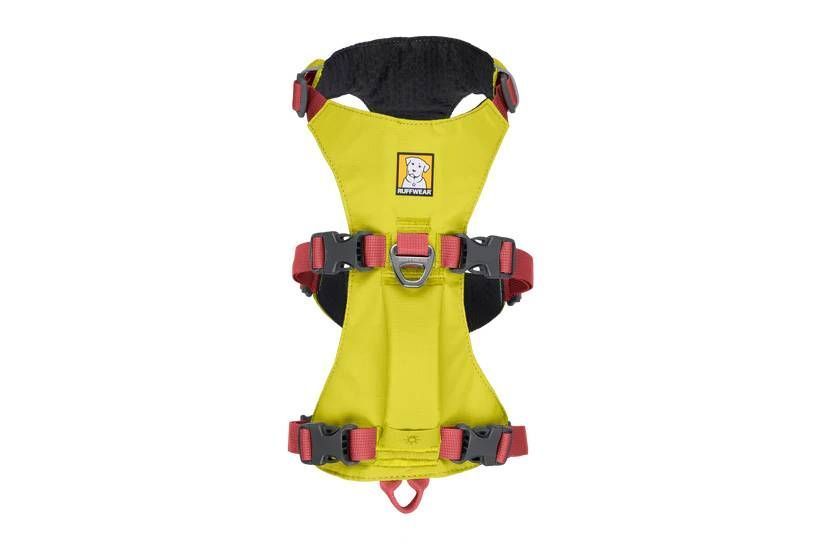 Легкая шлейка для собак Ruffwear Flagline&trade; M 69-81 см Желтый 30759 фото