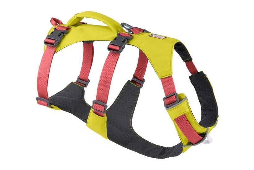 Легкая шлейка для собак Ruffwear Flagline&trade; M 69-81 см Желтый 30759 фото