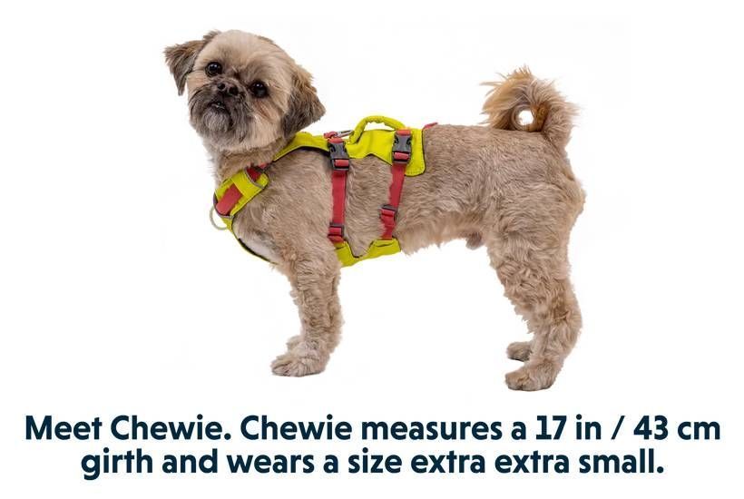 Легкая шлейка для собак Ruffwear Flagline&trade; M 69-81 см Желтый 30759 фото