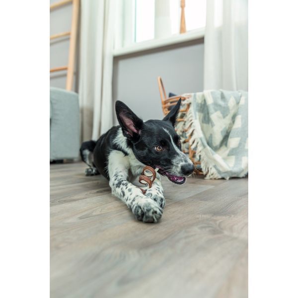 Ласощі Trixie Denta Fun Duck Chewing Roll bulk для собак Denta Fun Качка жувальний рулет д 17 см 45 г 1 шт 1111185712 фото