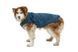 Пальто для собак Ruffwear Stumptown&trade; S Синій 30481 фото 7