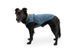 Пальто для собак Ruffwear Stumptown&trade; S Синій 30481 фото 6