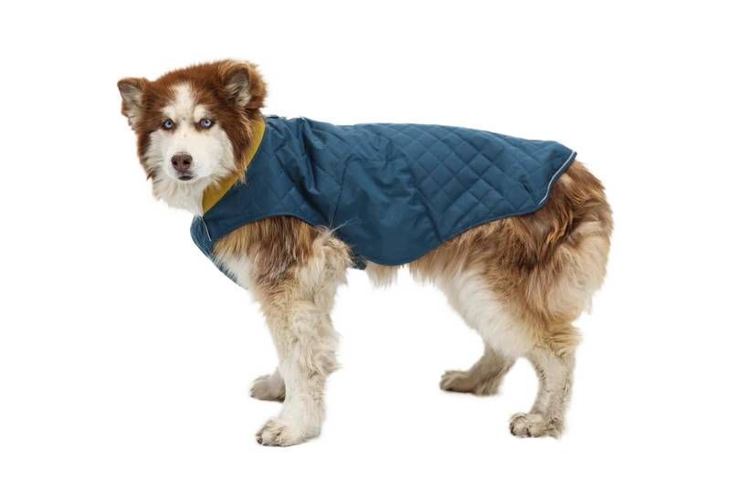 Пальто для собак Ruffwear Stumptown&trade; S Синій 30481 фото
