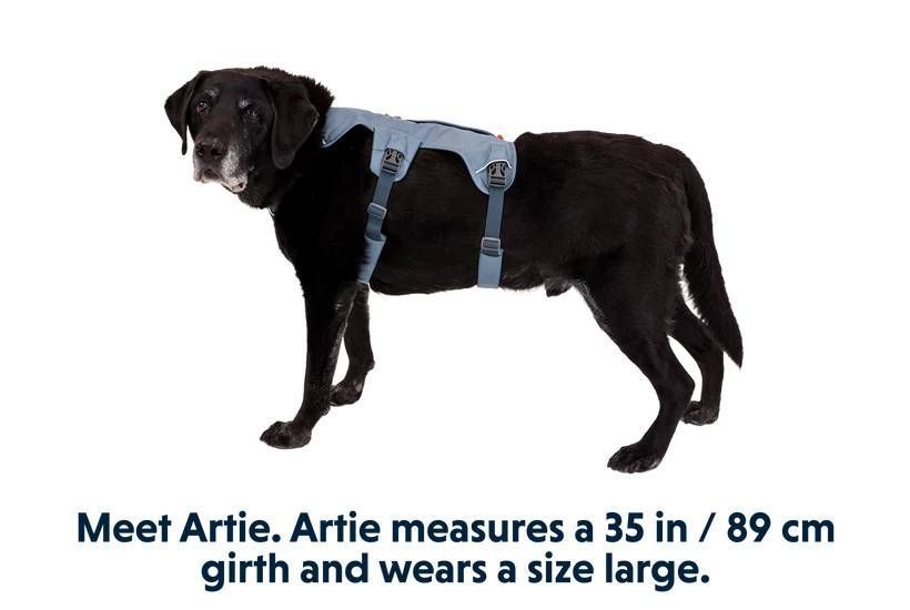 Поддерживающая шлейка для служебных собак Ruffwear Web Master&trade; XXS 33-43 см Синий 30877 фото