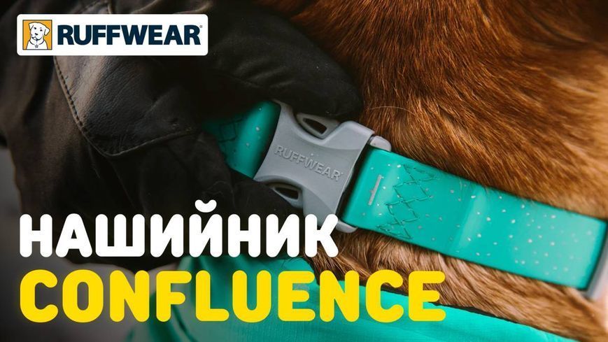 Водостійкий нашийник для собак Ruffwear Confluence&trade; 36-51 см Синій 30631 фото