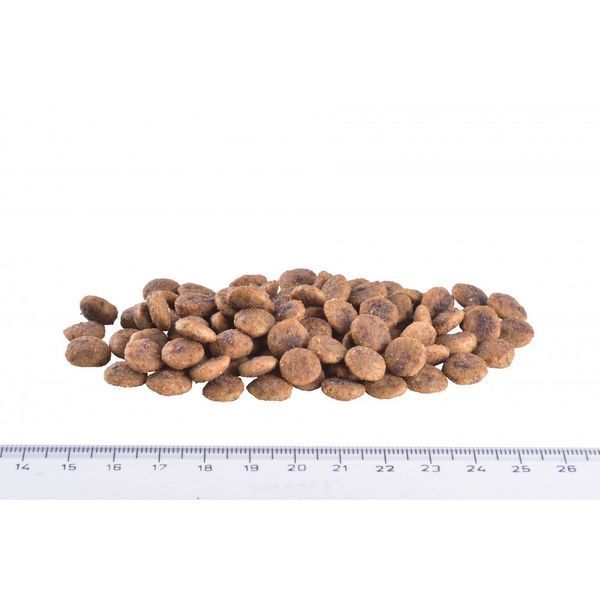 Корм сухий Brit Grain Free VetDiet Cat Hypoallergenic для котів з харчовою алергією та непереносимістю з лососем та горохом 1111152750 фото