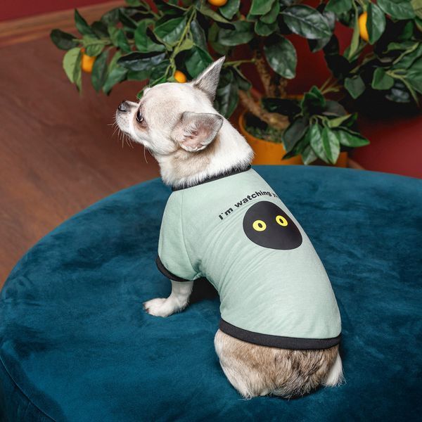 Футболка Pet Fashion Oscar для собак бавовна трикотаж рібана блакитна XS2 1111195201 фото