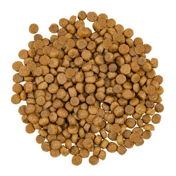 Корм сухий Savory Adult Cat Gourmand Fresh Salmon and White Fish для довгошерстих котів зі свіжим лососем і білою рибою 2 кг 1111162995 фото