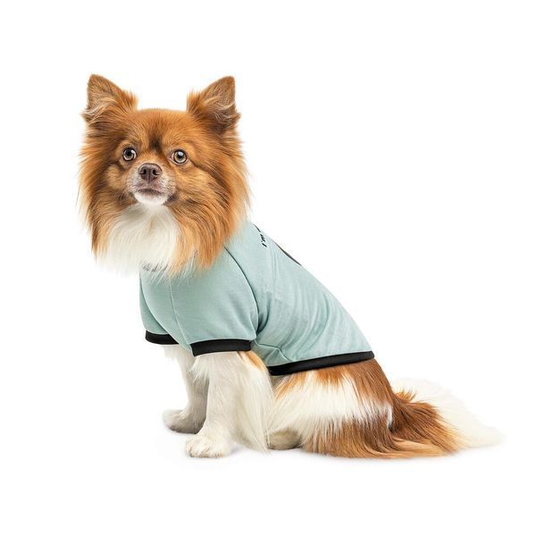 Футболка Pet Fashion Oscar для собак бавовна трикотаж рібана блакитна XS2 1111195201 фото