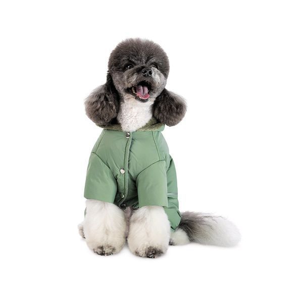 Костюм Richi XS2 Pet Fashion для собак 1111207931 фото