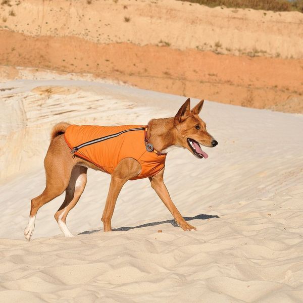Жилет Pet Fashion E.Vest для собак помаранчевий S 1111166448 фото