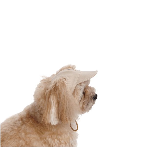 Кепка Pet Fashion Glamor для собак ХS 1111225452 фото
