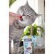 Вітамінні ласощі GimCat Nutri Pockets Dental для котів для зубів 60 г 1111140229 фото 3