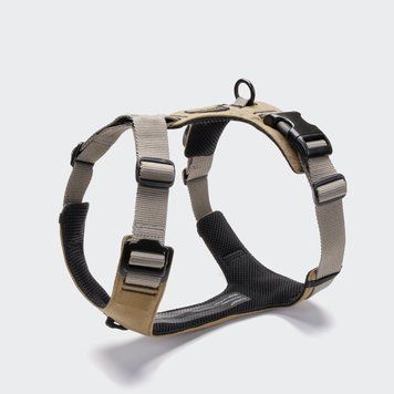 Y-подібна шлейка для собак Cloud7 Y-2 Harness AKTIV Сірий M 46257 фото