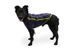 Флисовая куртка для собак Ruffwear Climate Changer&trade; XL Сине-фиолетовый 30376 фото 18