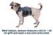 Підтримуюча шлейка для службових собак Ruffwear Web Master&trade; XS 43-56 см Синій 30878 фото 8