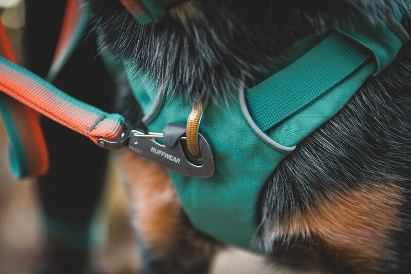 Шлейка-рюкзак для собаки Ruffwear Front Range&trade; S Зеленый 30982 фото