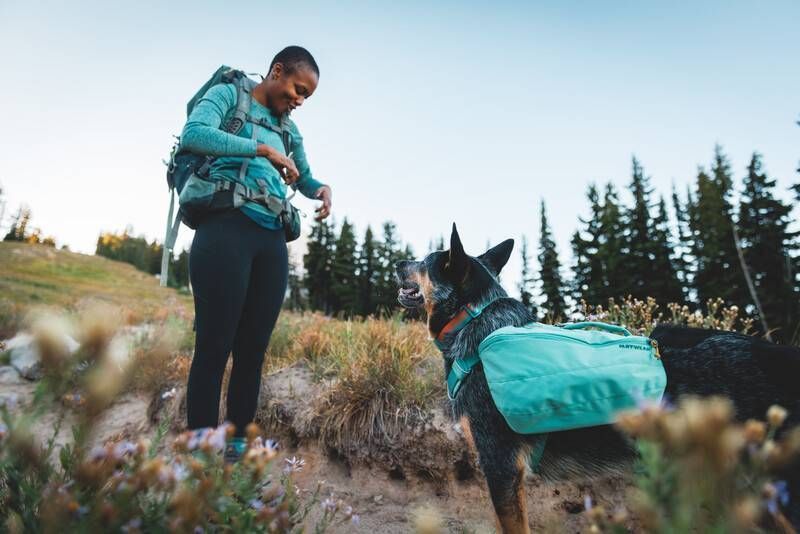 Шлейка-рюкзак для собаки Ruffwear Front Range&trade; S Зеленый 30982 фото