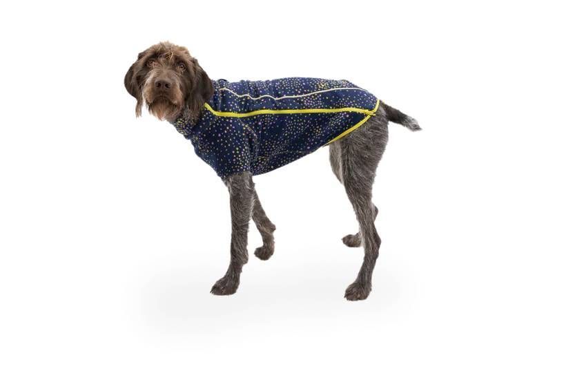 Флисовая куртка для собак Ruffwear Climate Changer&trade; XL Сине-фиолетовый 30376 фото