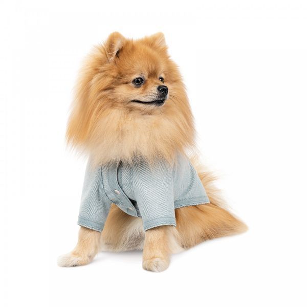 Кардиган Pet Fashion Denis м&rsquo;ятний XS2 1111179014 фото