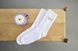 Шкарпетки для власників собак Palopa Tennis Socks Badger Dog 35-40 45549 фото 2