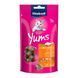 Ласощі Vitakraft Yums подушечки для котів з куркою та котячою м&rsquo;ятою 40 г 1111166869 фото 1