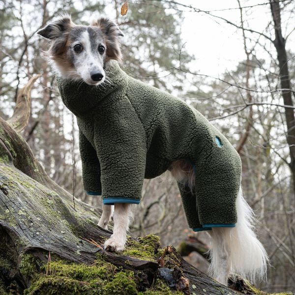 Комбинезон для грейхаундов и других борзых пород собак Cloud7 Cornwall Greyhound Оливковый 10 45959 фото