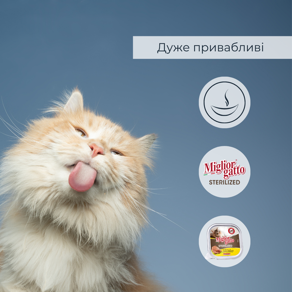 Беззернові консерви для стерилізованих котів Morando Migliorgatto Sterilized з куркою та прошутто 100 g 01451 фото