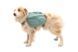 Шлейка-рюкзак для собаки Ruffwear Front Range&trade; L/XL Зеленый 30984 фото 20