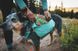Шлейка-рюкзак для собаки Ruffwear Front Range&trade; L/XL Зеленый 30984 фото 28