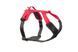 Шлейка для собак Ramble harness Non-stop dogwear Чорний/рожевий S 40581 фото 1
