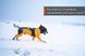 Комбінезон для собак жіночої статі Protector snow Non-stop dogwear Чорний/Помаранчевий XS 40872 фото 9