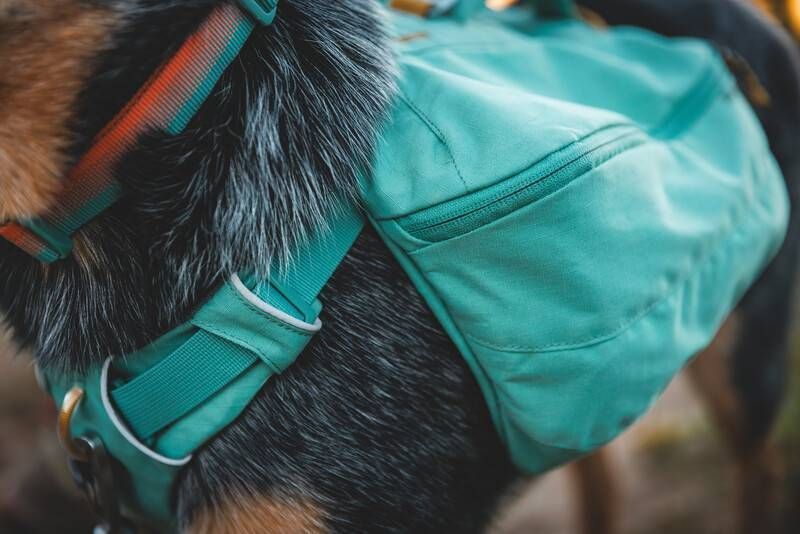 Шлейка-рюкзак для собаки Ruffwear Front Range&trade; L/XL Зеленый 30984 фото