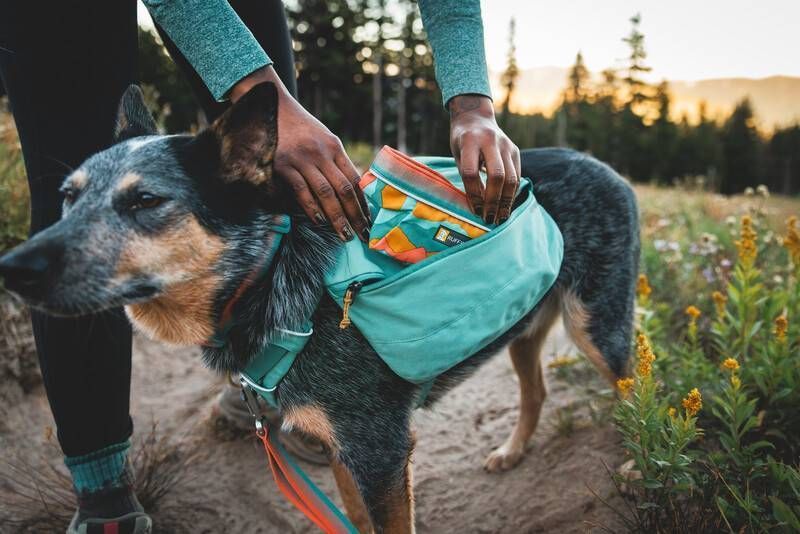Шлейка-рюкзак для собаки Ruffwear Front Range&trade; L/XL Зеленый 30984 фото